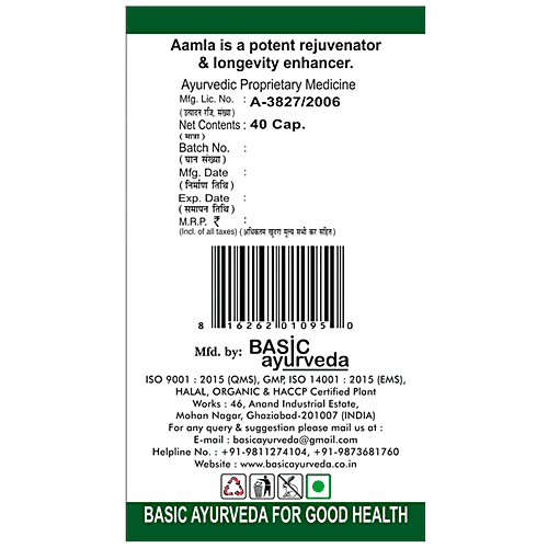 Basic Ayurveda Aamla Capsules - Vitamin C Supplement, For Hair & Skin Health, 40 pcs  