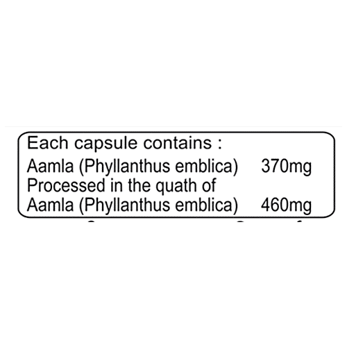 Basic Ayurveda Aamla Capsules - Vitamin C Supplement, For Hair & Skin Health, 40 pcs  