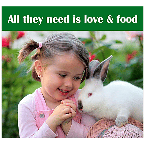 Boltz Growth Hay For Rabbits, Guinea Pigs & Hamsters, 600 g  