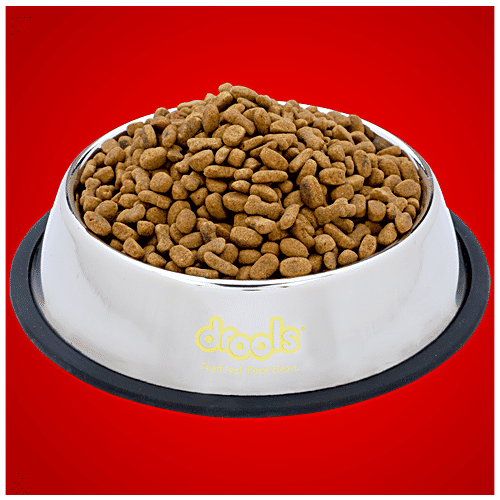 Drools Stainless Steel Feeding Bowl For Cats, 225 ml  