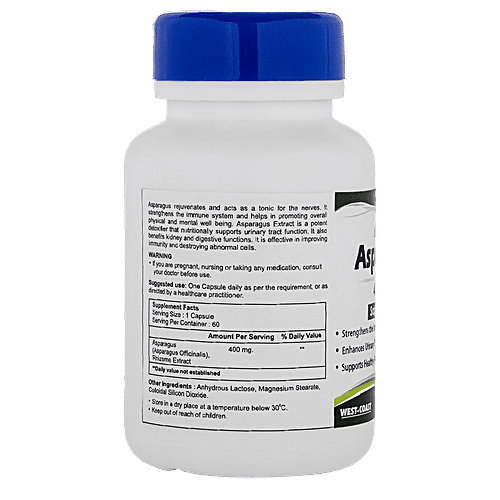 Buy Healthvit Asparagus 400 mg Saponin 20 Capsules Strengthens