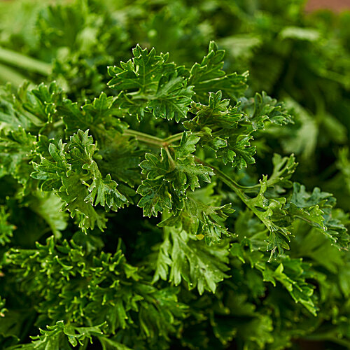 fresho! Parsley - Organic, 100 g  