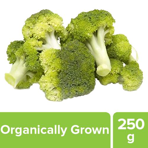 Fresho Broccoli - Organically Grown, 1pc approx 250 g -500 g 