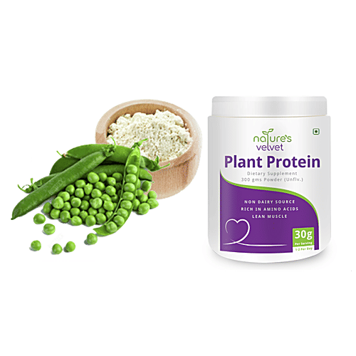 Natures Velvet Plant Protein Supplement - Vegan, Rich in BCAAs, 300 g  