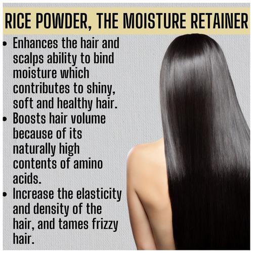 Buy Nina Dorada Volume & Shine Shampoo Bar With Shea Butter, Shikakai,  Reetha & Rice Powder - Anti-Hair Fall, For Dry, Frizzy & Damaged Hair  Online at Best Price of Rs  -