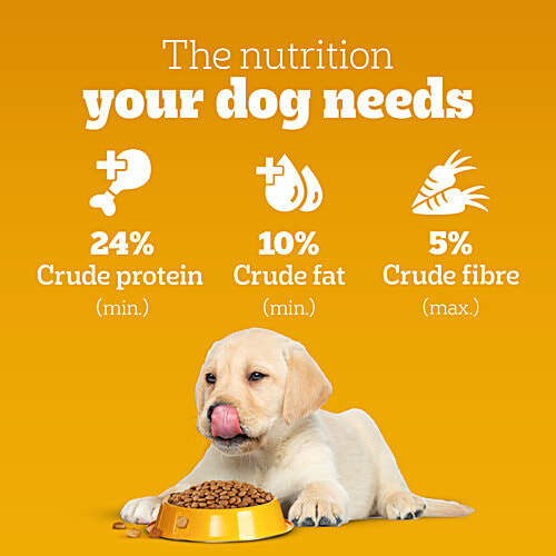 Pedigree Puppy Dry Dog Food, Meat & Milk, 100% Complete & Balanced Food, 2.8 Kg Vision & Brain Development, Complete & Balanced Diet, Vitamin E, Calcium & Protein