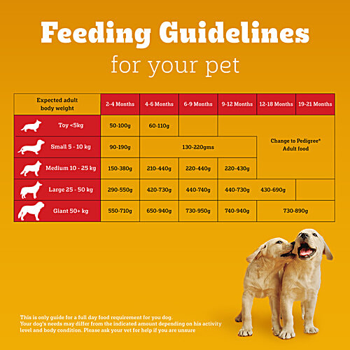 Pedigree Puppy Dry Dog Food, Meat & Milk, 100% Complete & Balanced Food, 2.8 Kg Vision & Brain Development, Complete & Balanced Diet, Vitamin E, Calcium & Protein