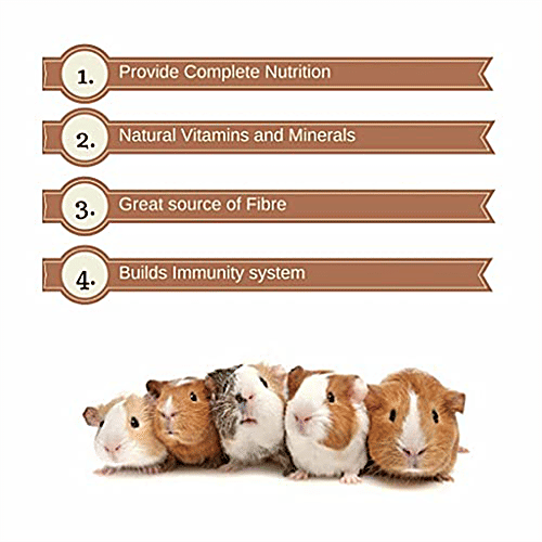 Vitapol Karma Economic Pet Food - For Hamster, 1.2 kg Bag 