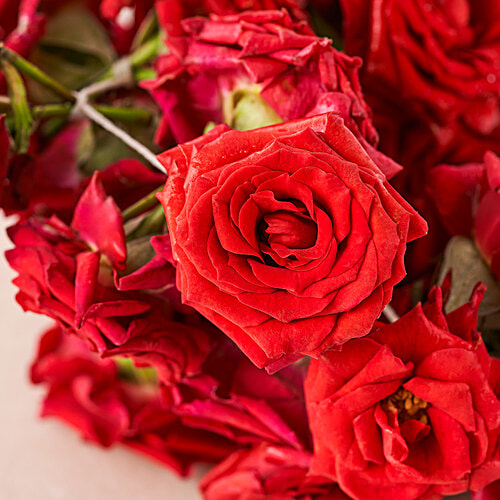 Hoovu Fresh Rose Mola/String, 40 cm  