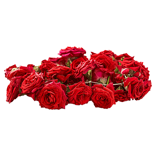 Hoovu Fresh Rose Mola/String, 40 cm  