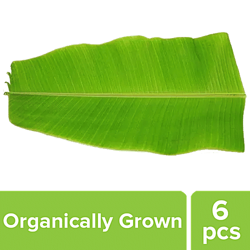 Buy fresho! Banana Leaf Organically Grown Online at Best Price of Rs