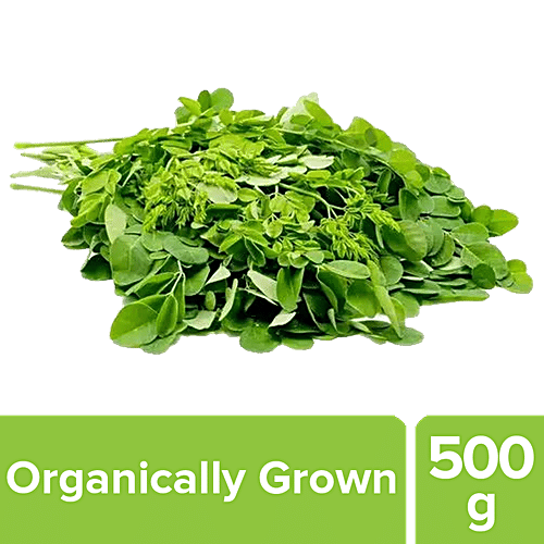 Buy fresho! Drumstick Leaves/Moringa Organically Grown Online at Best