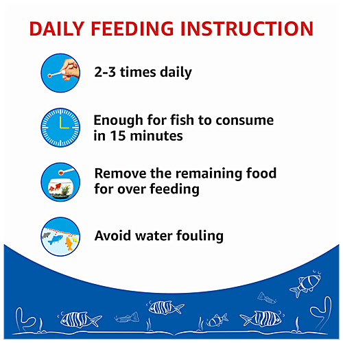 Buy Drools Finsters Fish Food Online at Best Price of Rs 237.50 bigbasket