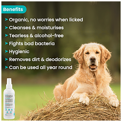 What Is A Dry Bath For Dogs