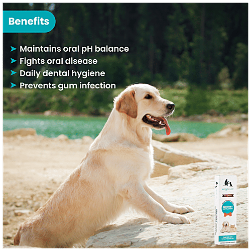 Buy Wiggles.in DentaPet Dental Spray Mouth Freshner, Teeth Cleaning