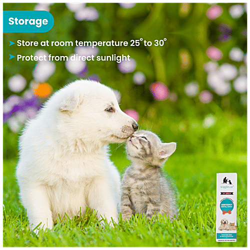 Are Cat Or Dog Mouths Cleaner