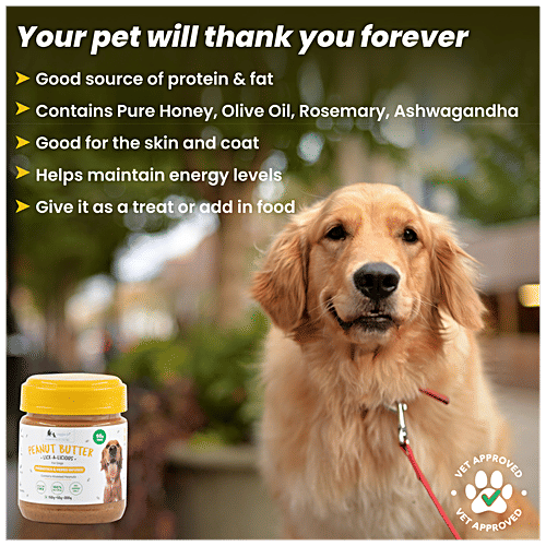 Is Honey Okay For Dogs