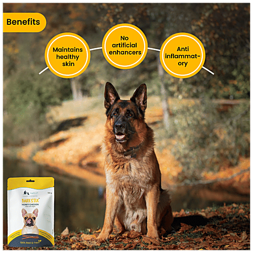 Wiggles.in Barkstix - Chew Sticks, Dog Treats, For Training Adult Puppies, Honey Chicken, 100 g  