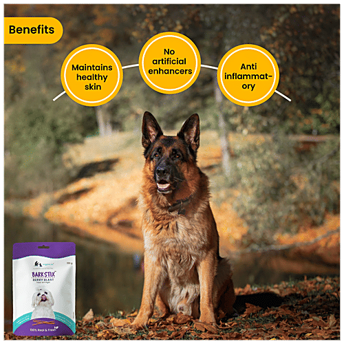 Wiggles.in Barkstix - Soft Chew Sticks, Dog Treats, For Training, Supports Hip, Joint, Skin & Coat, 100 g