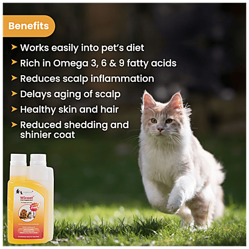 best supplement for dog dry skin