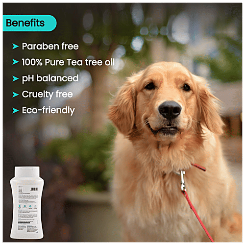 How To Use Tea Tree Oil For Fleas On Dogs