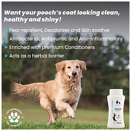 How To Use Tea Tree Oil For Fleas On Dogs