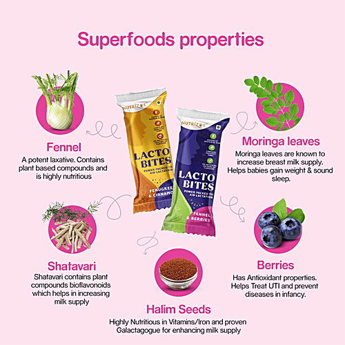 Buy Nutrizoe Lactobites Fennel & Berries Lactation Bars For Easy