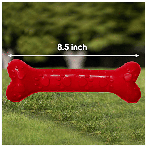 Buy Drools Teething Toy For Puppy/Dogs Rubber Chew Bone, Large 8.5