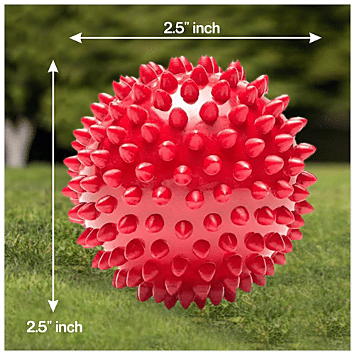 Drools Teething Toy For Puppy/Dog - Rubber Stud Spike Hard Ball, 8 cm, 130 g  