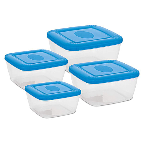Asian Flora Dryfruit Plastic Dabba/Container Set - BPA-Free, Blue, 4 pcs  