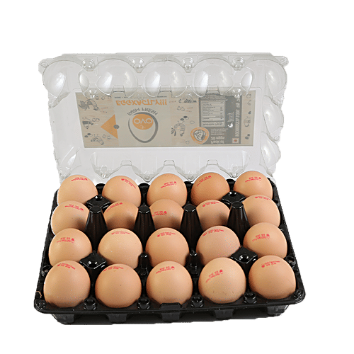 OVO Eggxactly Brown Eggs, UV Treated & Antibiotic Free, 20 pcs  Farm Fresh