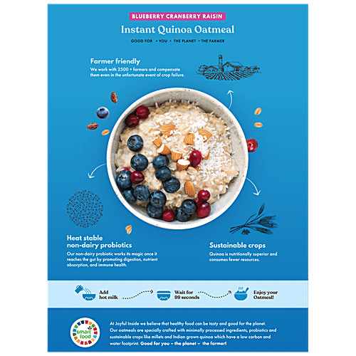 JOYFUL INSIDE Instant Quinoa Oatmeal - Blueberry Cranberry Raisin, Seeds & Nuts, Real Fruit, 320 g  