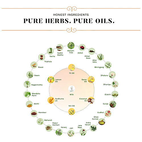 Sesa Strong Roots Oil & Hair Strengthening Shampoo Plus Conditioner - Repairs Damage, 2 pcs  