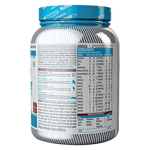 Buy Patanjali Nutrela Protein Powder 100 Whey Performance,For