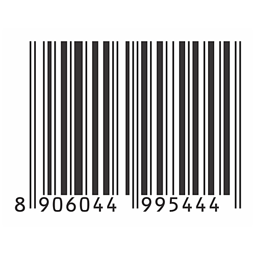 Axiom Alo Frut - Ginger Mojito, Brewed Naturally, No Artificial Flavours, 250 ml Tin 