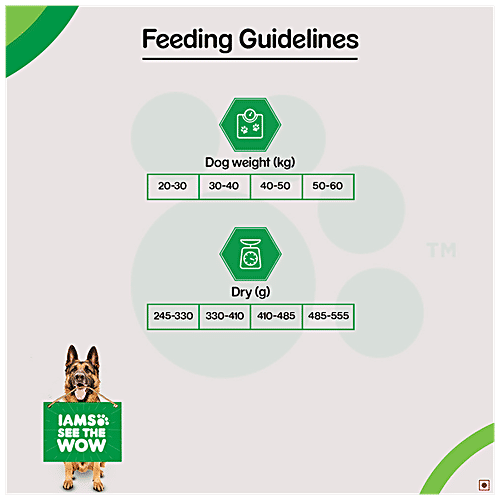 Buy IAMS Dry Dog Food Proactive Health, Adult 1.5+ Years German