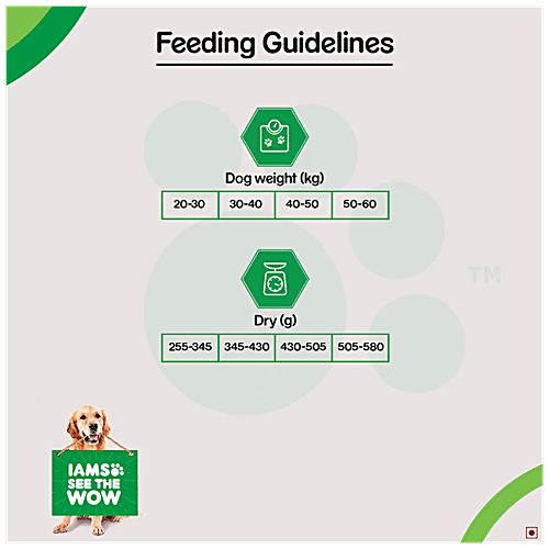 Buy IAMS Dry Dog Food Proactive Health, Adult 1.5+ Years, Golden Retriever Online at Best