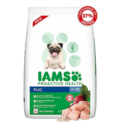 Can Cats Eat Iams Dog Food