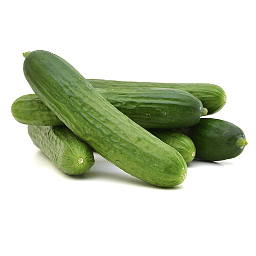 Buy fresho! European Cucumber Seedless, Hydroponically Grown Online