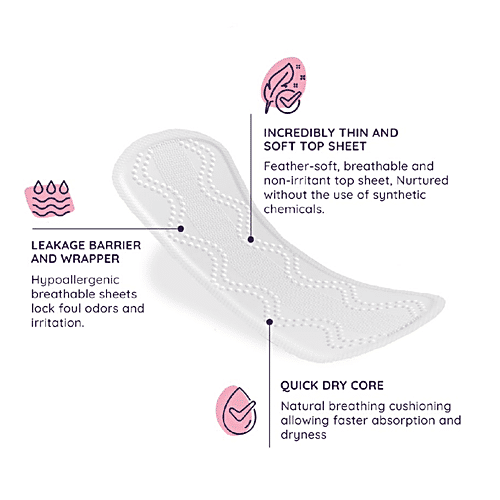 Buy Sanfe Organic Cotton Panty Liners Rash Free, Soft & Thin Online