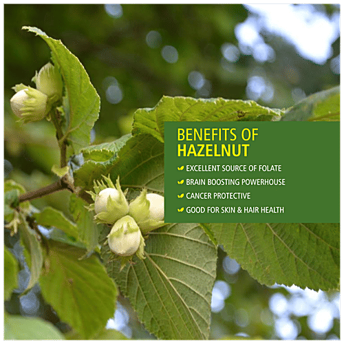 Buy Everyday Four Hazelnut Prevents Cancer, Good For Skin, Rich In
