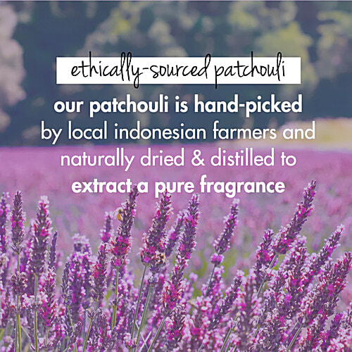 Love Beauty & Planet Blackseed & Patchouli Hairfall Control Conditioner, 400 ml