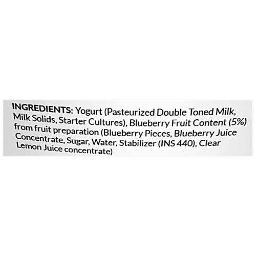 Rufil Swiss Style Yogurt - Blueberry, Protein Rich & Healthy Dessert, 90 g  