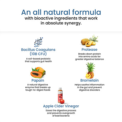 Wellbeing Nutrition Melts Into A Healthy Gut - Probiotics & Enzymes, Mixed Berry Blast, 30 pcs  For Indigestion, Gas, Acidity