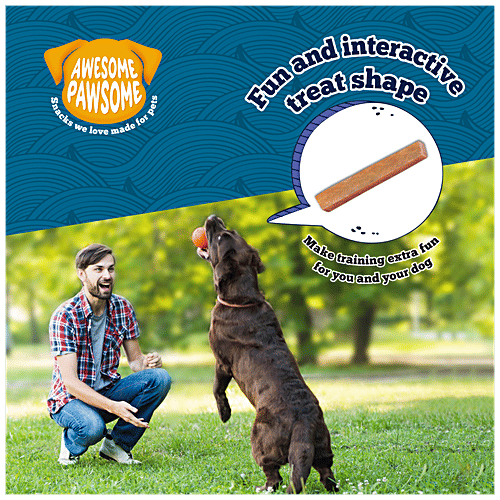 Awesome Pawsome All-Natural Dog Treats - With Salmon Supreme Recipe, Rich In Omega 3, Grain Free, 85 g Pouch