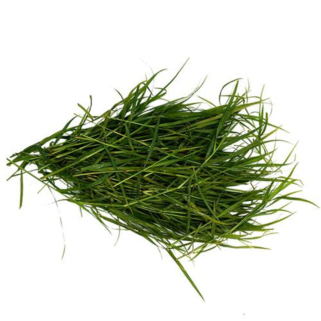 Fresho Durva Grass/Garike - Used To Decorate, For Festivals & Puja, 50 g 