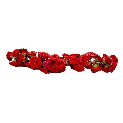 Fresho Rose Mola/String - Used To Decorate, For Festivals & Puja, 1 pc  