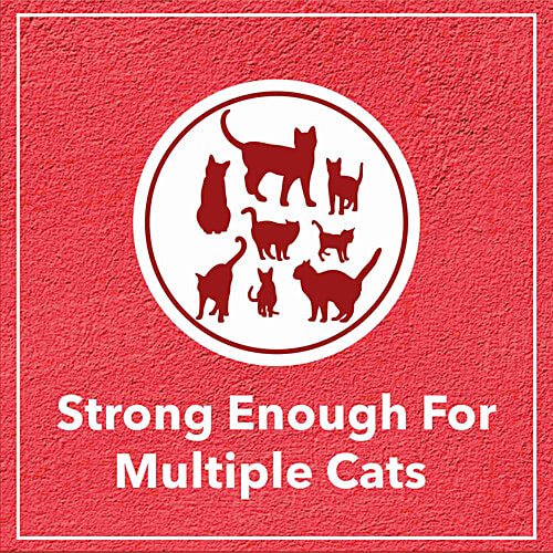 Drools Lavender Fragrance Clumping Litter For Multiple Cats, 5 kg