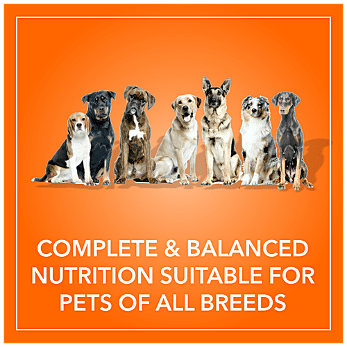 Buy Purepet Adult Dog Food High Quality, Provides Health Benefits