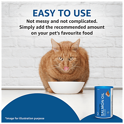 Buy Drools Absolute Salmon Oil Syrup For Cats, Supports Healthy Coat